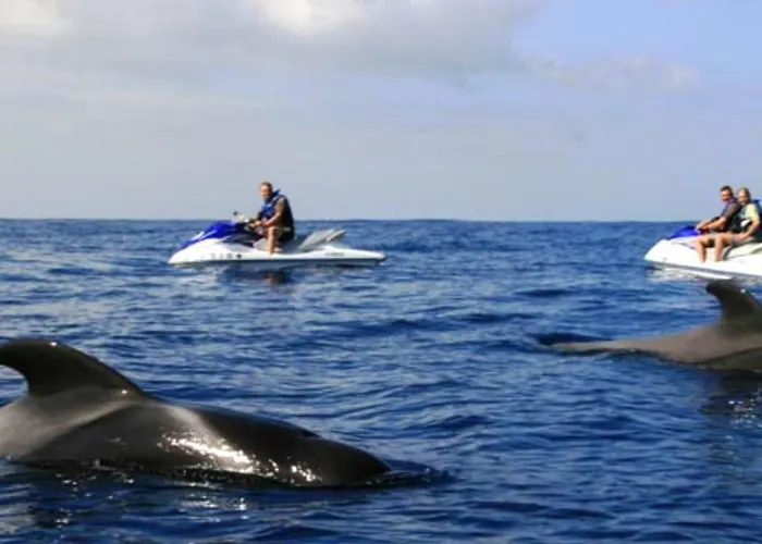 Ocean View Over Cristianos, Playa Vistas, Wifi